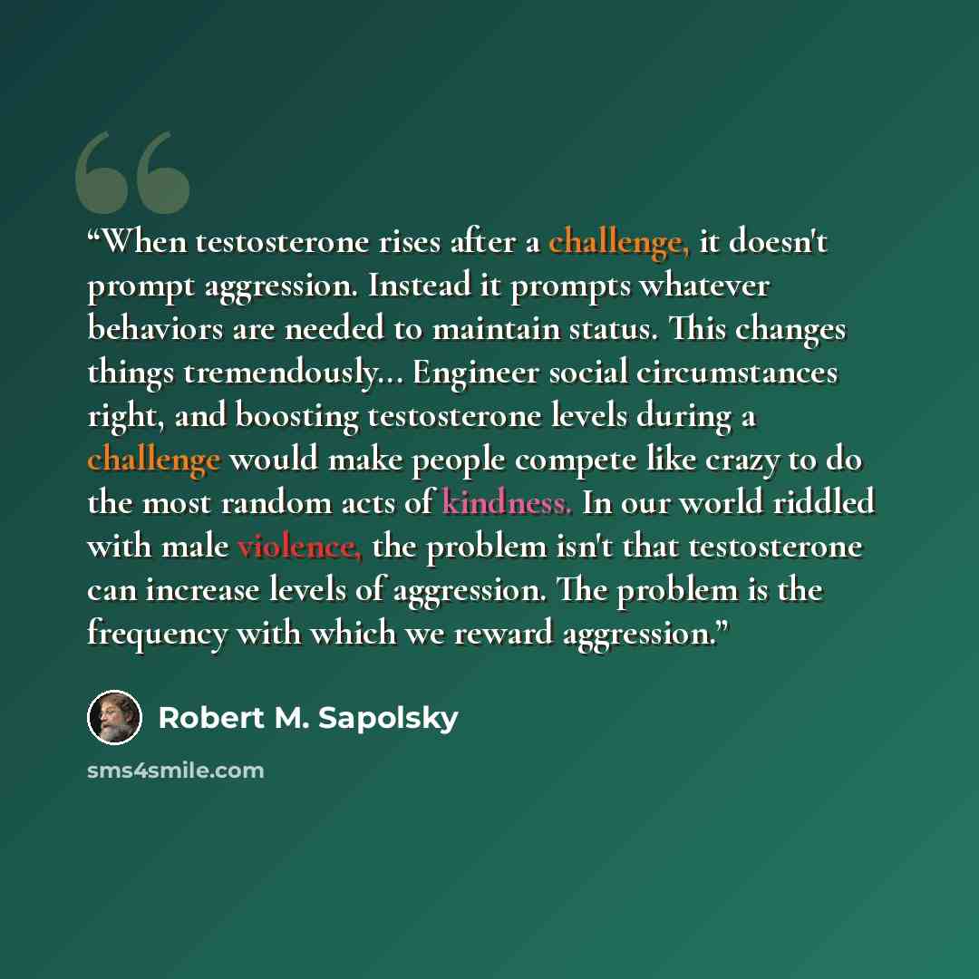 “When testosterone rises after a challenge, it doesn't prompt aggression. Instead it prompts whatever behaviors are needed to maintain status. This changes things tremendously... Engineer social circumstances right, and boosting testosterone levels during a challenge would make people compete like…” quote by Robert M. Sapolsky