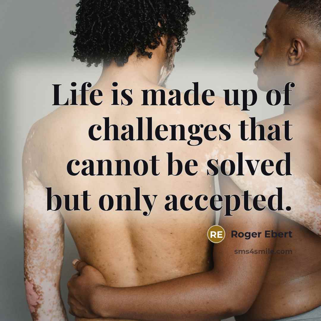“Life is made up of challenges that cannot be solved but only accepted.” quote by Roger Ebert