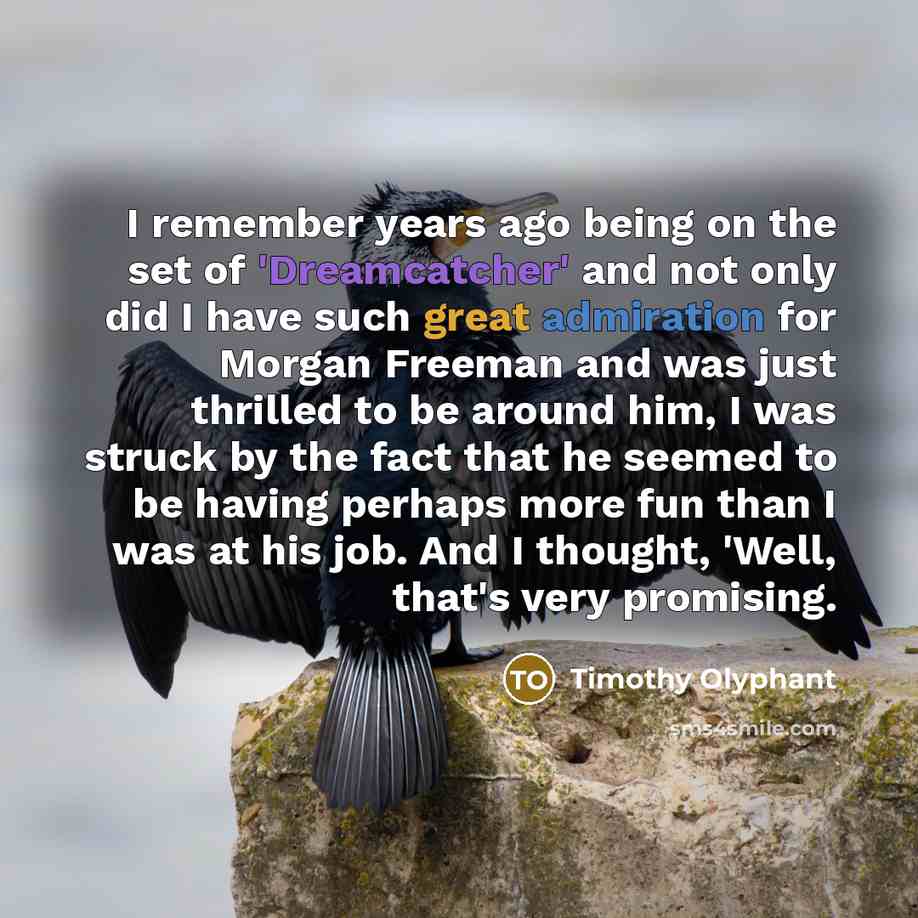 “I remember years ago being on the set of 'Dreamcatcher' and not only did I have such great admiration for Morgan Freeman and was just thrilled to be around him, I was struck by the fact that he seemed to be having perhaps more fun than I was at his job. And I thought, 'Well, that's very promising.” quote by Timothy Olyphant