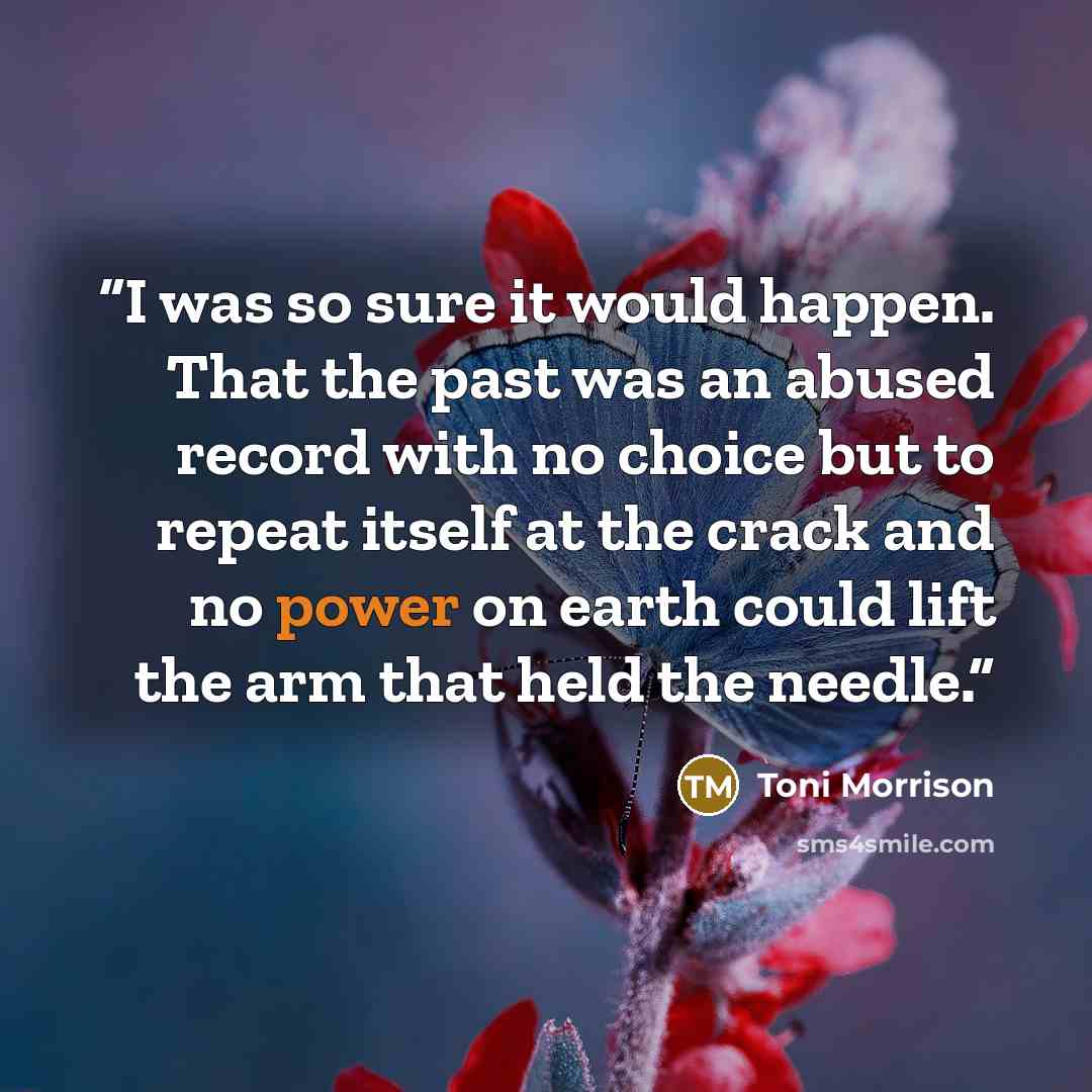 “I was so sure it would happen. That the past was an abused record with no choice but to repeat itself at the crack and no power on earth could lift the arm that held the needle.” quote by Toni Morrison