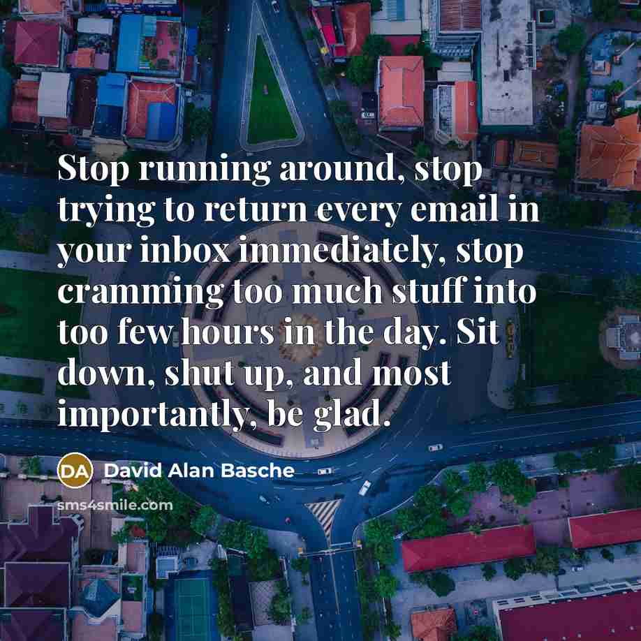 “Stop running around, stop trying to return every email in your inbox immediately, stop cramming too much stuff into too few hours in the day. Sit down, shut up, and most importantly, be glad.” quote by David Alan Basche