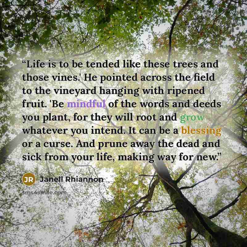 “Life is to be tended like these trees and those vines.' He pointed across the field to the vineyard hanging with ripened fruit. 'Be mindful of the words and deeds you plant, for they will root and grow whatever you intend. It can be a blessing or a curse. And prune away the dead and sick from your…” quote by Janell Rhiannon