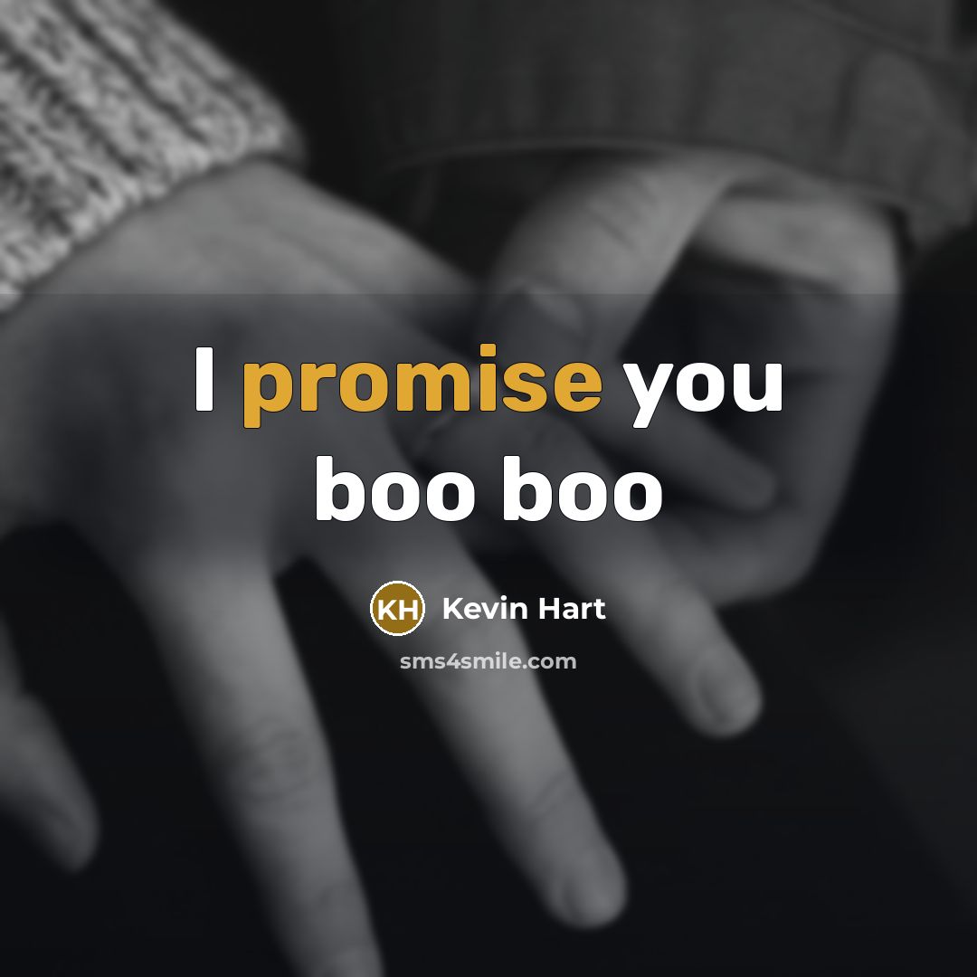 “I promise you boo boo” quote by Kevin Hart