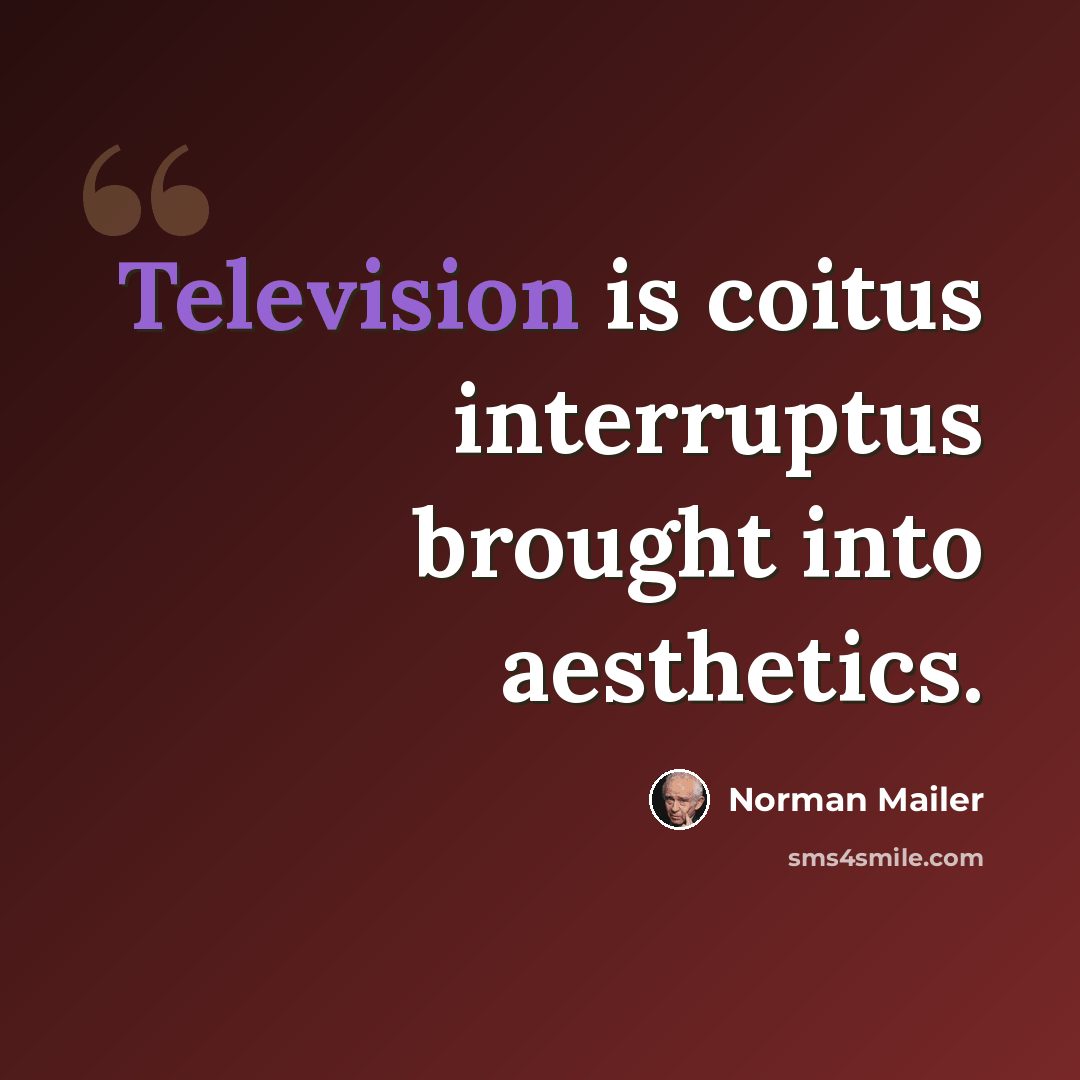 “Television is coitus interruptus brought into aesthetics.” quote by Norman Mailer