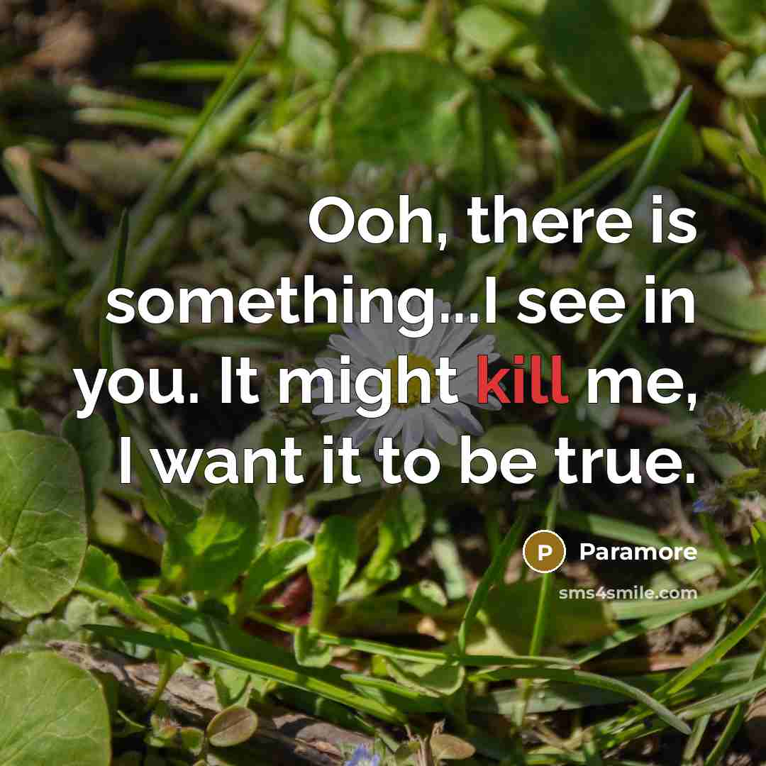 “Ooh, there is something...I see in you. It might kill me, I want it to be true.” quote by Paramore