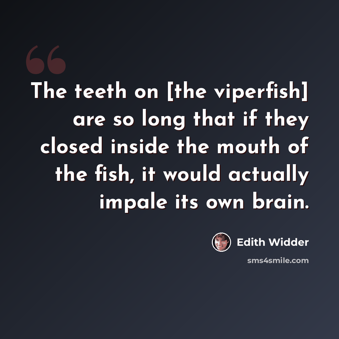 “The teeth on [the viperfish] are so long that if they closed inside the mouth of the fish, it would actually impale its own brain.” quote by Edith Widder