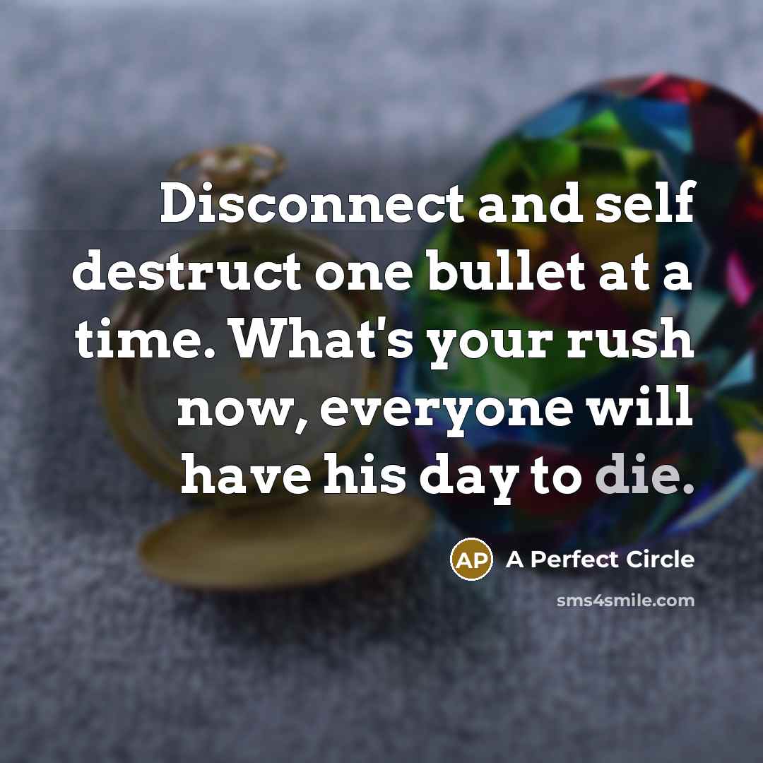 “Disconnect and self destruct one bullet at a time. What's your rush now, everyone will have his day to die.” quote by A Perfect Circle
