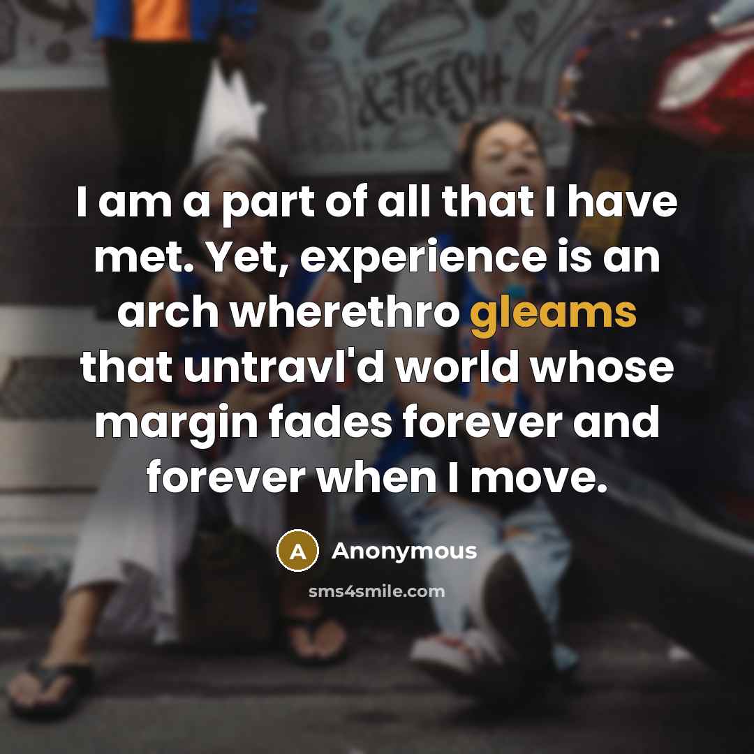 “I am a part of all that I have met. Yet, experience is an arch wherethro gleams that untravl'd world whose margin fades forever and forever when I move.” quote by Anonymous