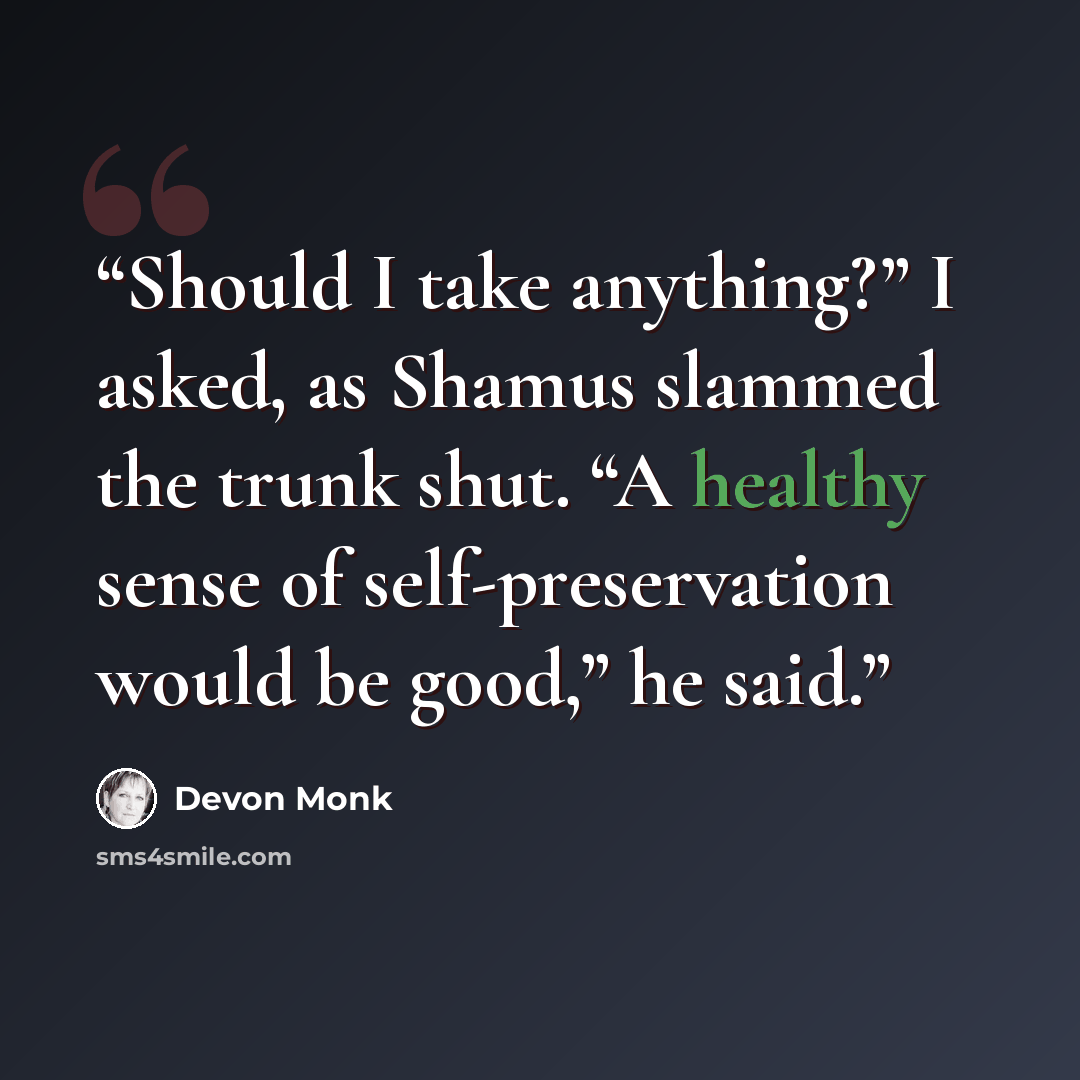 “Should I take anything?” I asked, as Shamus slammed the trunk shut. “A healthy sense of self-preservation would be good,” he said.” quote by Devon Monk