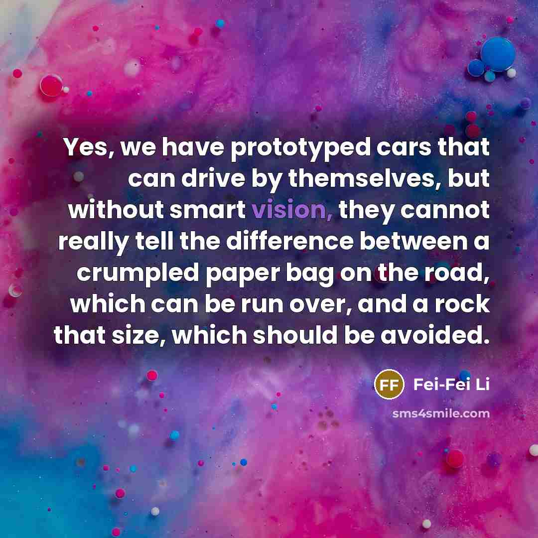“Yes, we have prototyped cars that can drive by themselves, but without smart vision, they cannot really tell the difference between a crumpled paper bag on the road, which can be run over, and a rock that size, which should be avoided.” quote by Fei-Fei Li