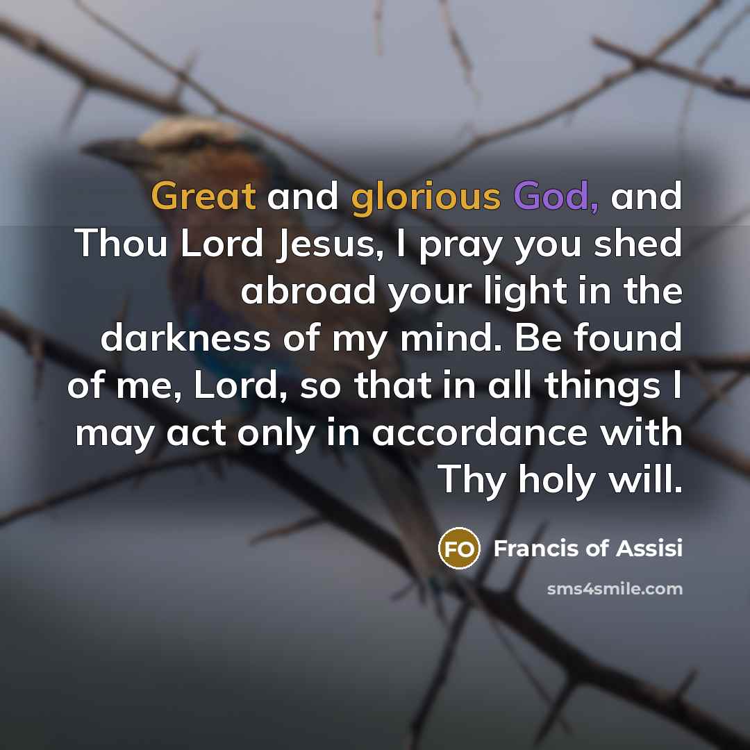 “Great and glorious God, and Thou Lord Jesus, I pray you shed abroad your light in the darkness of my mind. Be found of me, Lord, so that in all things I may act only in accordance with Thy holy will.” quote by Francis of Assisi