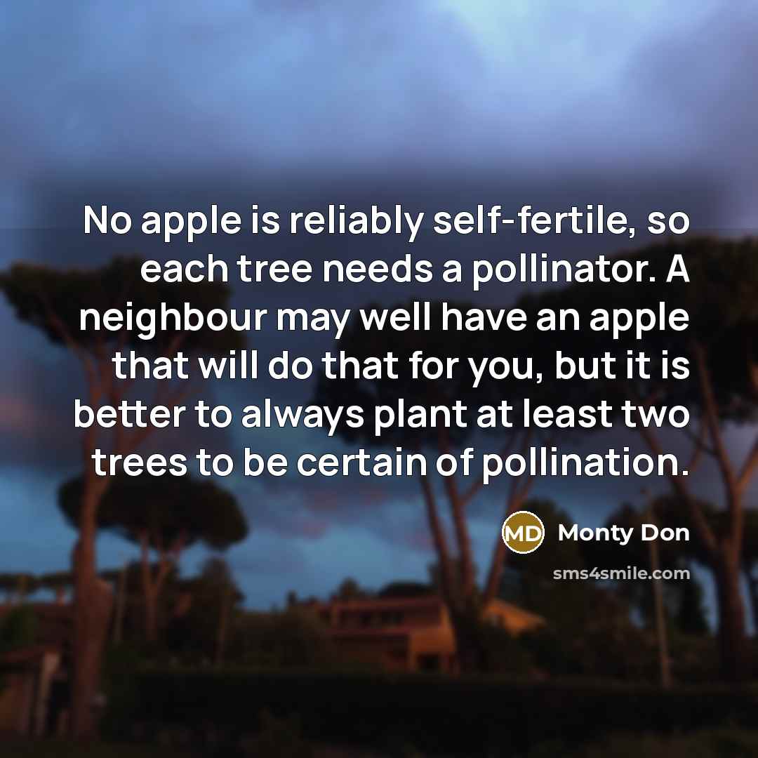 “No apple is reliably self-fertile, so each tree needs a pollinator. A neighbour may well have an apple that will do that for you, but it is better to always plant at least two trees to be certain of pollination.” quote by Monty Don
