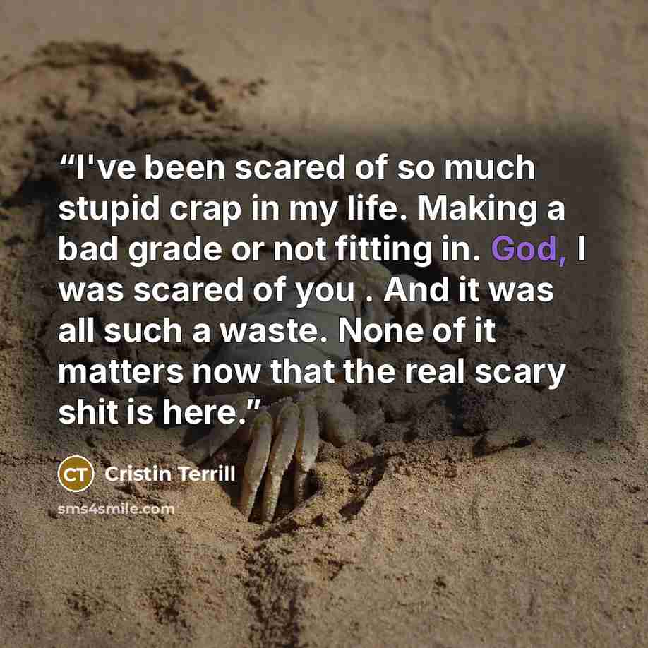 “I've been scared of so much stupid crap in my life. Making a bad grade or not fitting in. God, I was scared of you . And it was all such a waste. None of it matters now that the real scary shit is here.” quote by Cristin Terrill