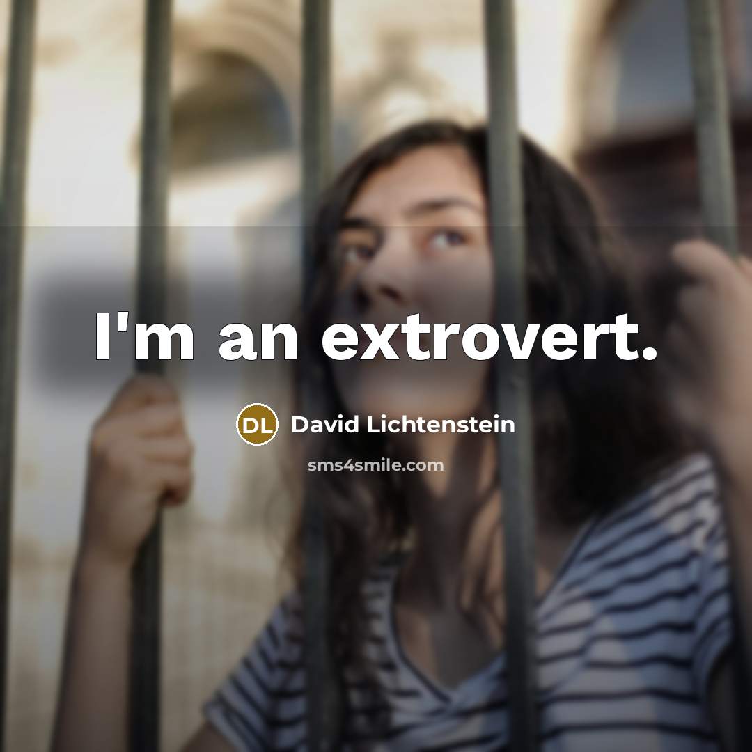 “I'm an extrovert.” quote by David Lichtenstein
