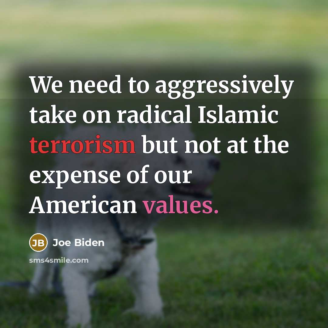 “We need to aggressively take on radical Islamic terrorism but not at the expense of our American values.” quote by Joe Biden