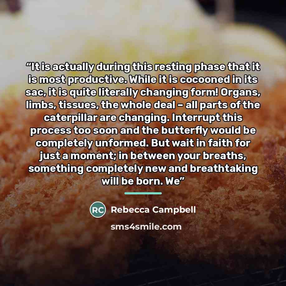 “It is actually during this resting phase that it is most productive. While it is cocooned in its sac, it is quite literally changing form! Organs, limbs, tissues, the whole deal – all parts of the caterpillar are changing. Interrupt this process too soon and the butterfly would be completely…” quote by Rebecca Campbell