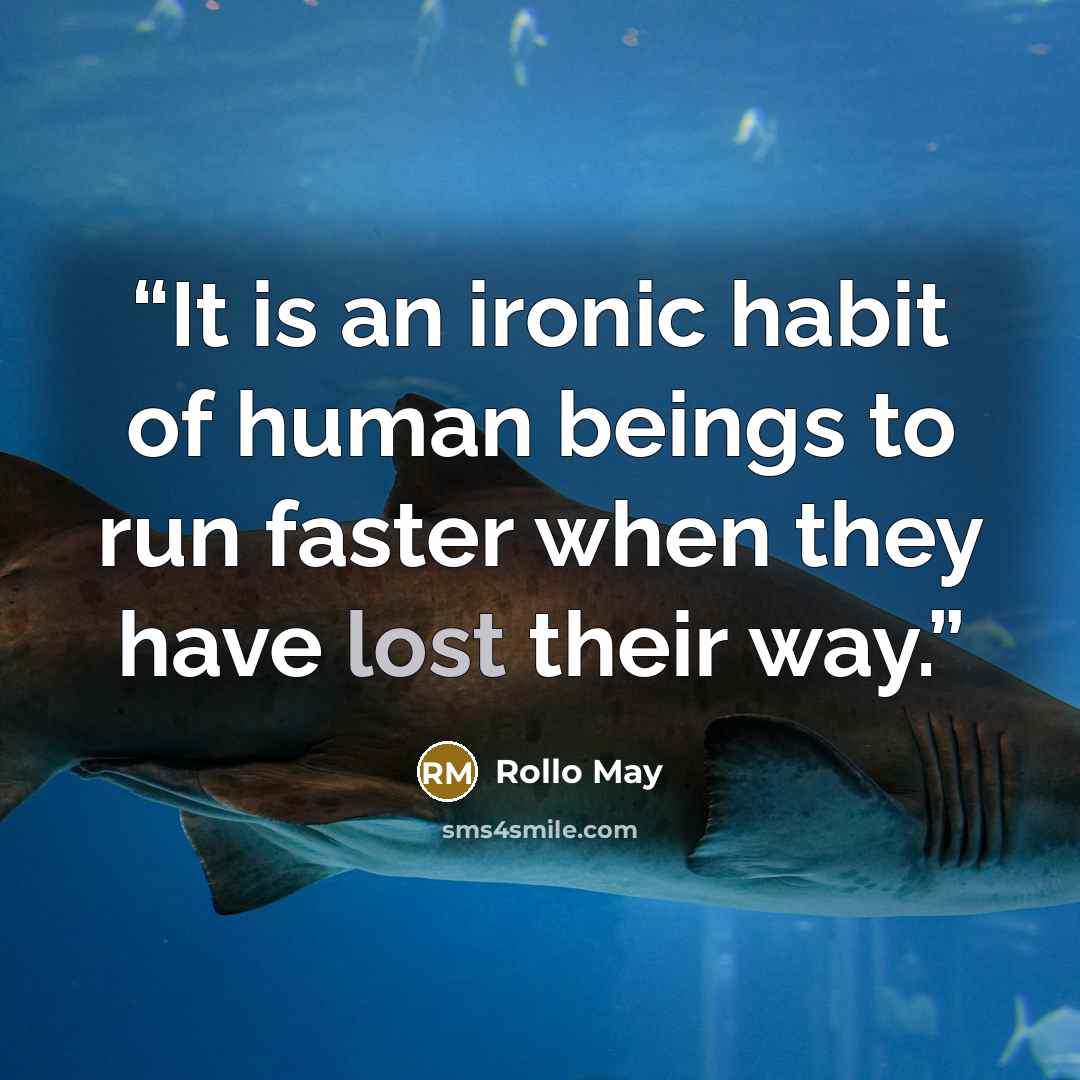 “It is an ironic habit of human beings to run faster when they have lost their way.” quote by Rollo May