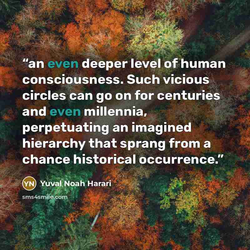 “an even deeper level of human consciousness. Such vicious circles can go on for centuries and even millennia, perpetuating an imagined hierarchy that sprang from a chance historical occurrence.” quote by Yuval Noah Harari