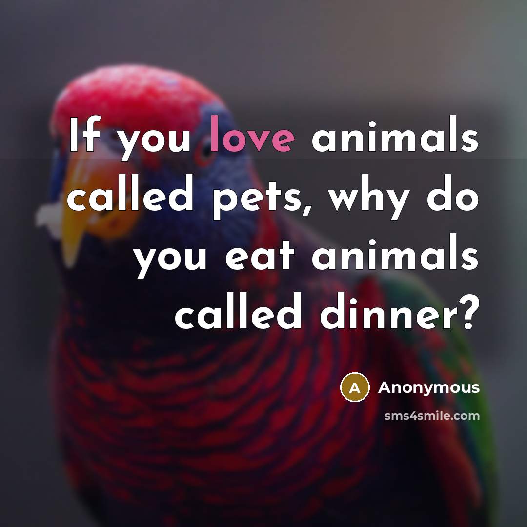 “If you love animals called pets, why do you eat animals called dinner?” quote by Anonymous