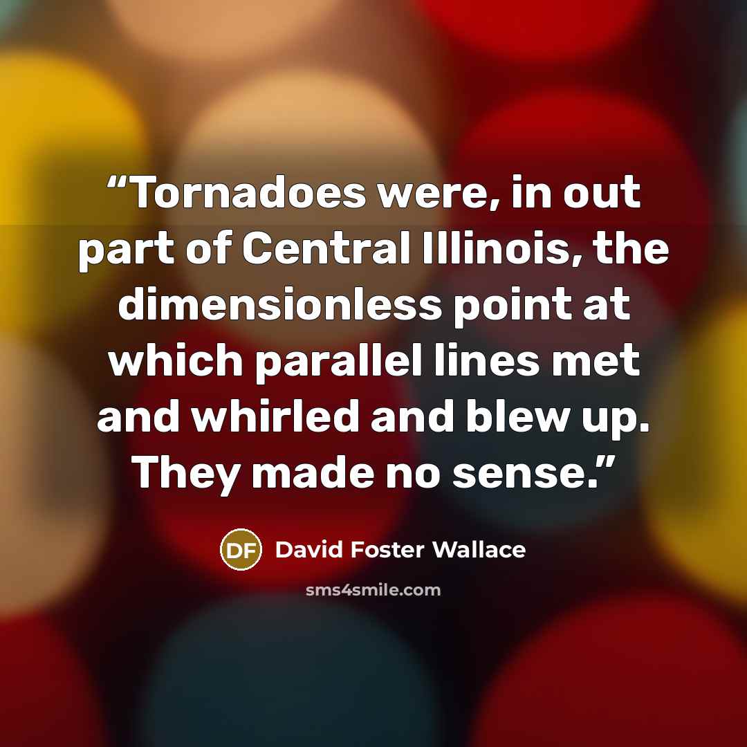 “Tornadoes were, in out part of Central Illinois, the dimensionless point at which parallel lines met and whirled and blew up. They made no sense.” quote by David Foster Wallace