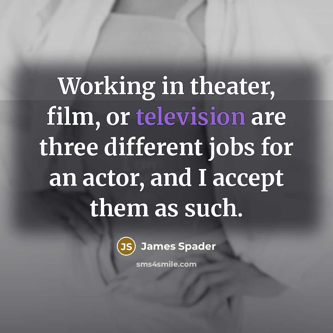 “Working in theater, film, or television are three different jobs for an actor, and I accept them as such.” quote by James Spader