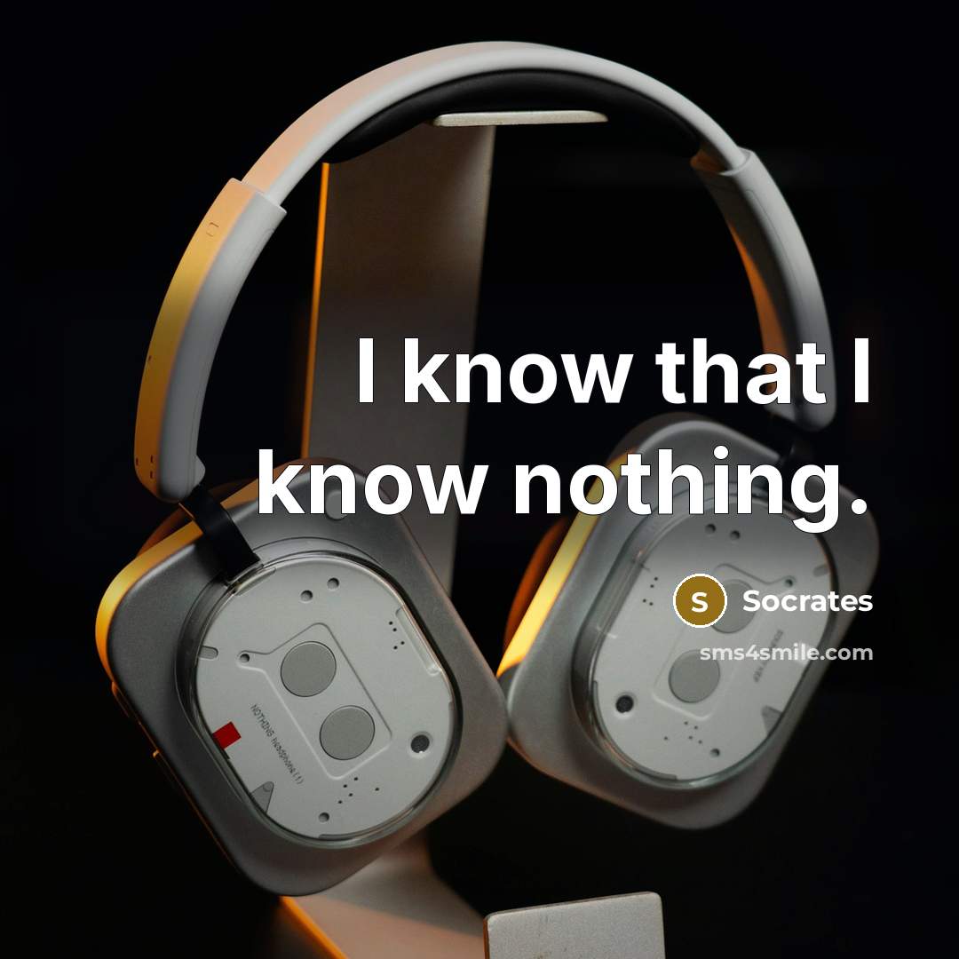 “I know that I know nothing.” quote by Socrates