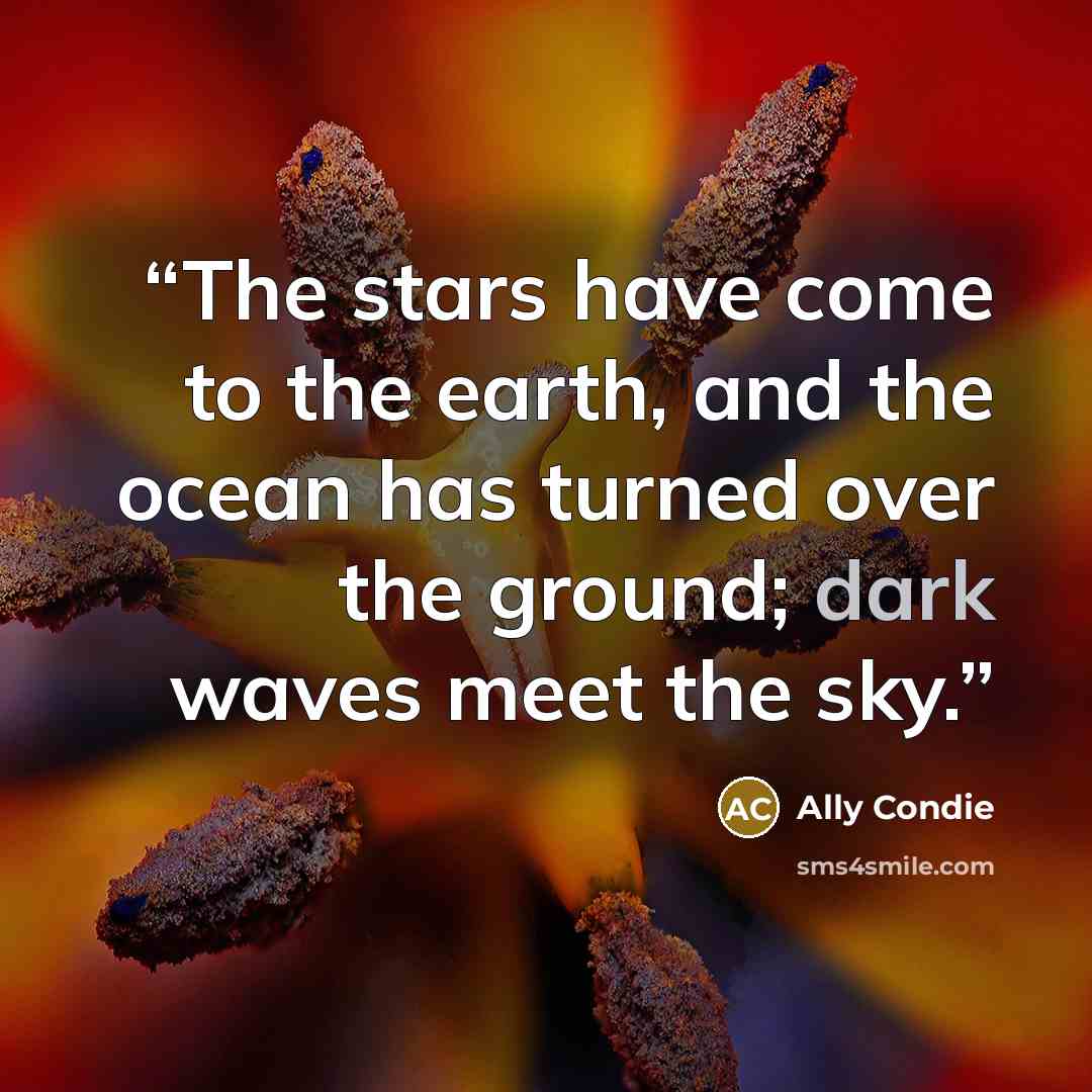 “The stars have come to the earth, and the ocean has turned over the ground; dark waves meet the sky.” quote by Ally Condie