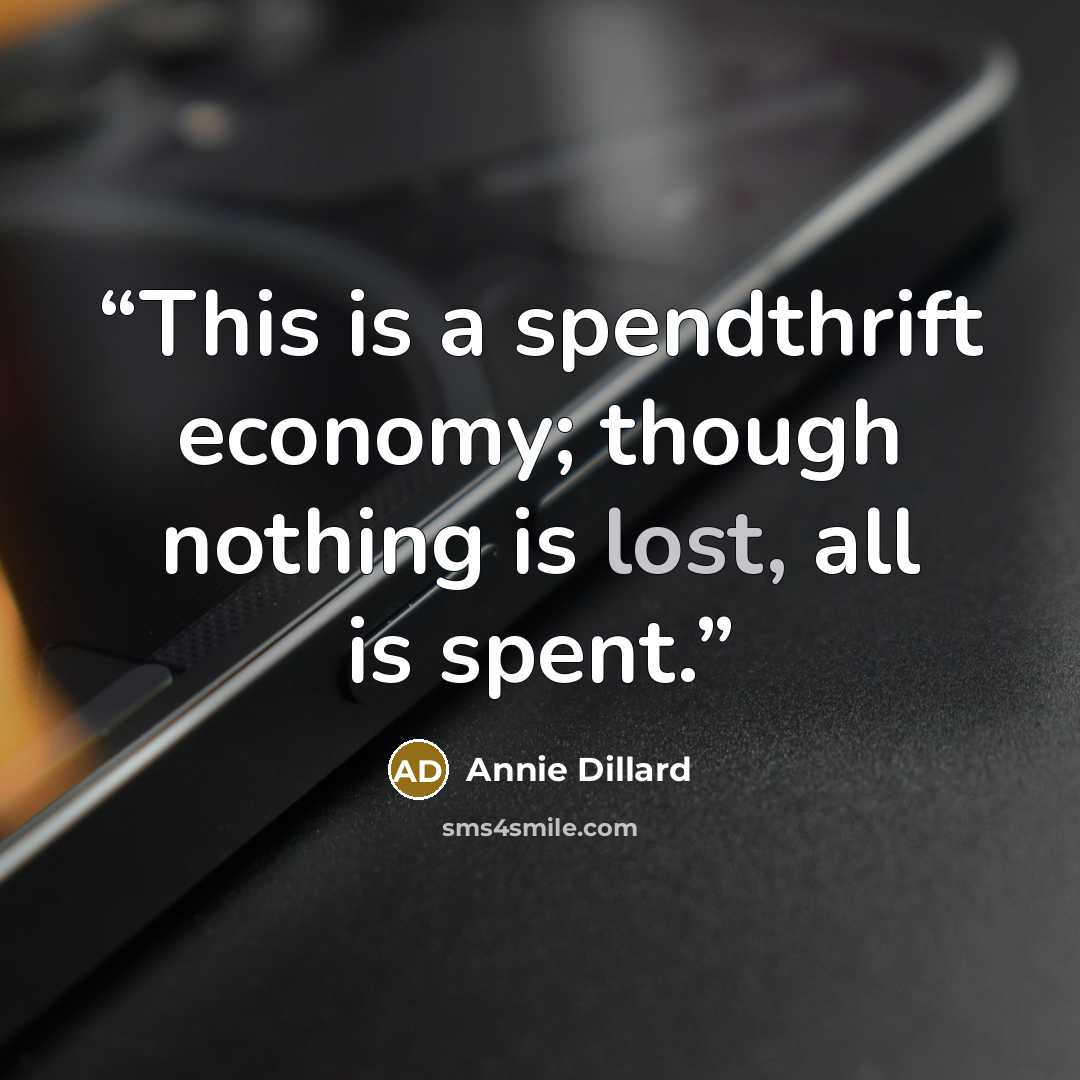 “This is a spendthrift economy; though nothing is lost, all is spent.” quote by Annie Dillard