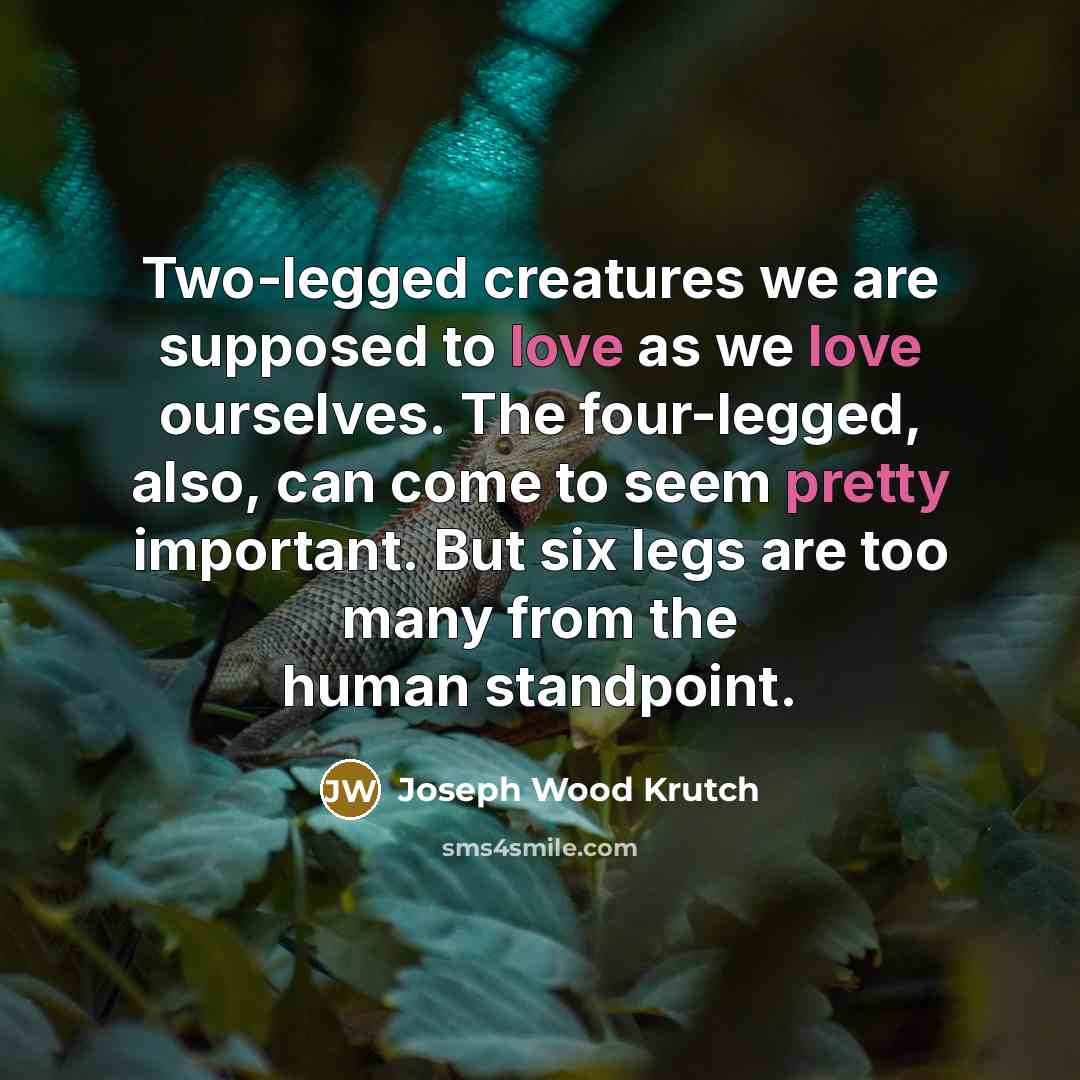 “Two-legged creatures we are supposed to love as we love ourselves. The four-legged, also, can come to seem pretty important. But six legs are too many from the human standpoint.” quote by Joseph Wood Krutch