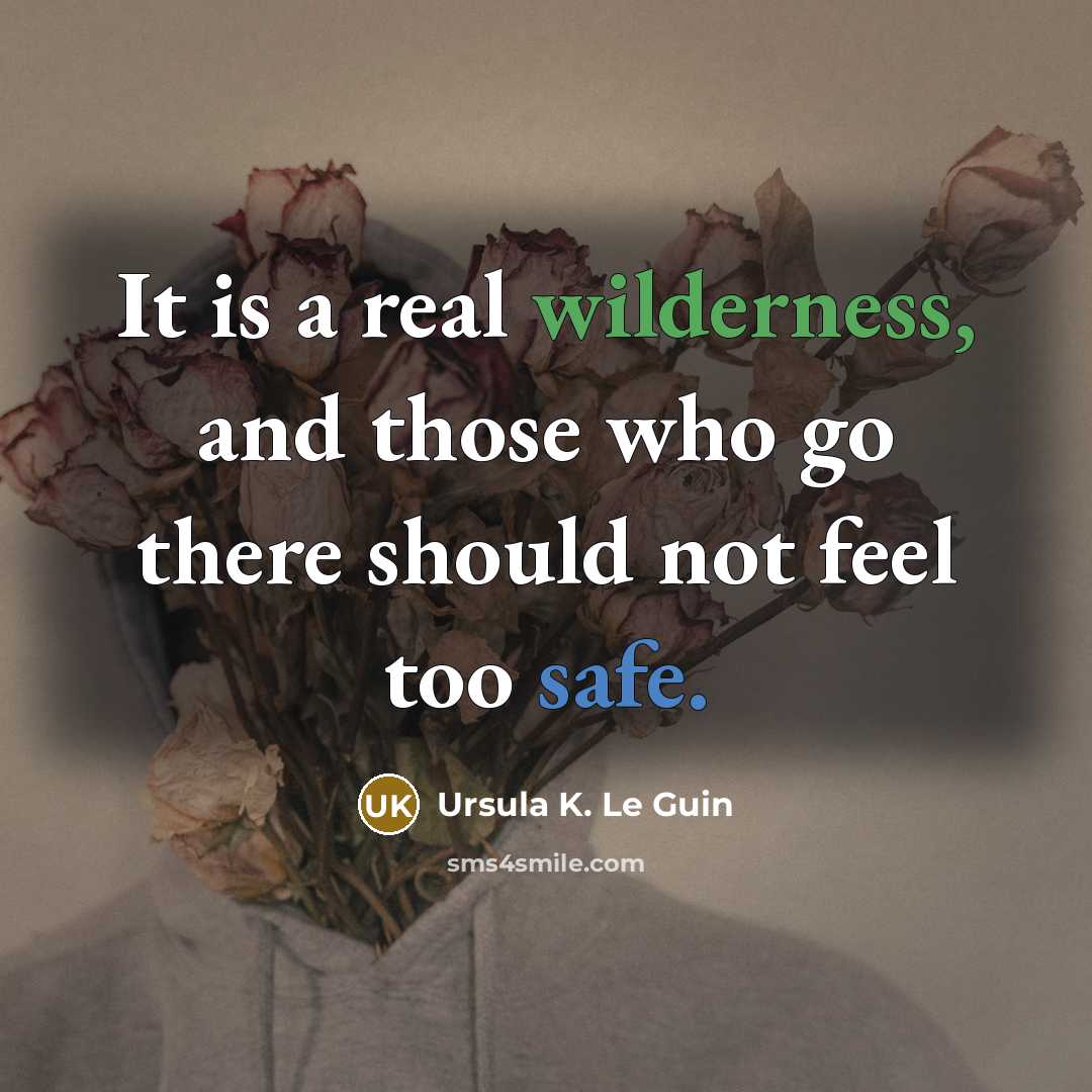 “It is a real wilderness, and those who go there should not feel too safe.” quote by Ursula K. Le Guin