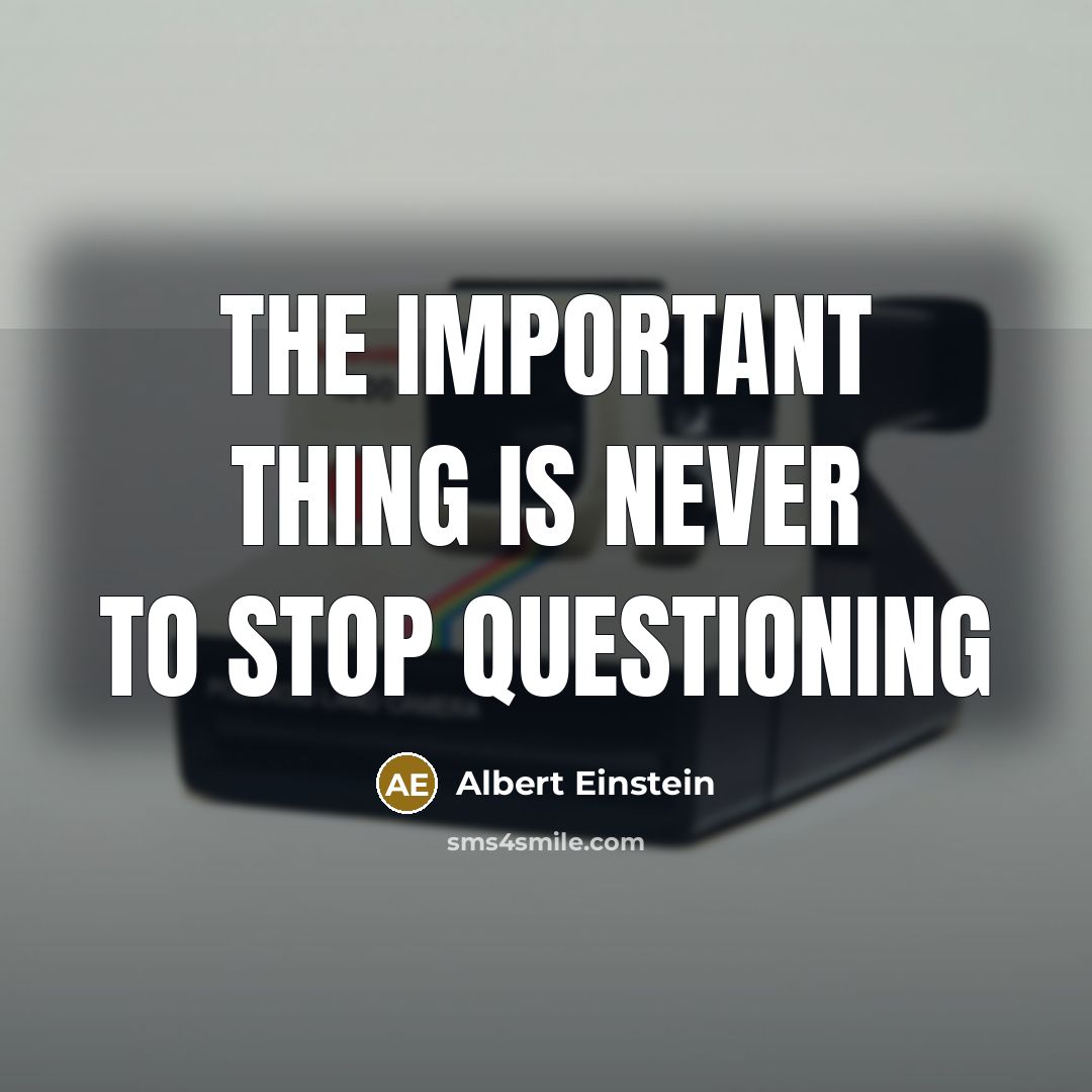 “The important thing is never to stop questioning” quote by Albert Einstein