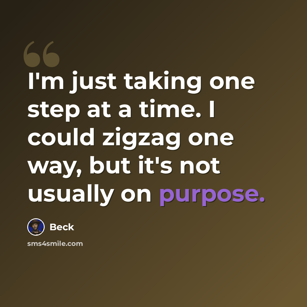 “I'm just taking one step at a time. I could zigzag one way, but it's not usually on purpose.” quote by Beck
