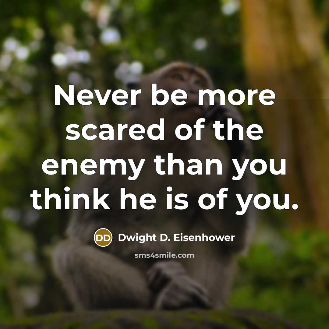 “Never be more scared of the enemy than you think he is of you.” quote by Dwight D. Eisenhower