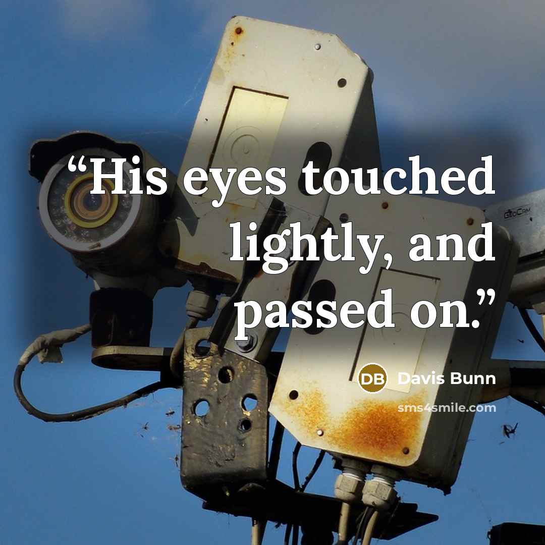 “His eyes touched lightly, and passed on.” quote by Davis Bunn
