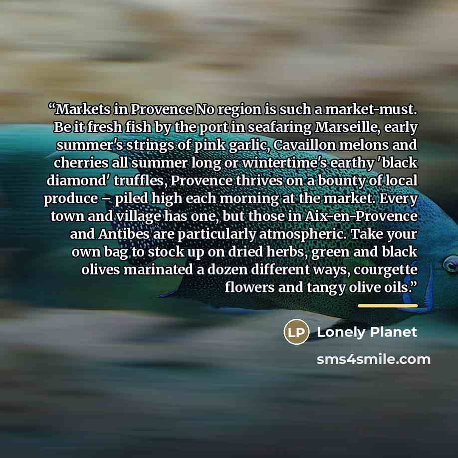 “Markets in Provence No region is such a market-must. Be it fresh fish by the port in seafaring Marseille, early summer's strings of pink garlic, Cavaillon melons and cherries all summer long or wintertime's earthy 'black diamond' truffles, Provence thrives on a bounty of local produce – piled high…” quote by Lonely Planet