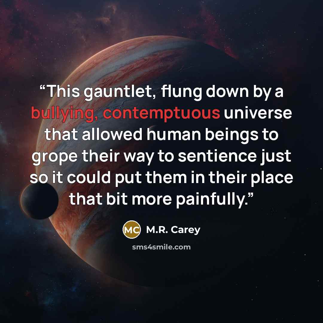 “This gauntlet, flung down by a bullying, contemptuous universe that allowed human beings to grope their way to sentience just so it could put them in their place that bit more painfully.” quote by M.R. Carey