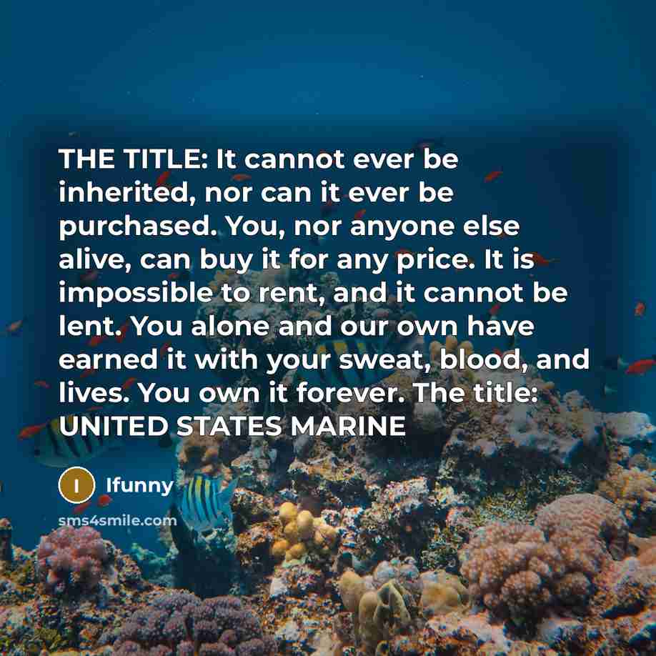 “THE TITLE: It cannot ever be inherited, nor can it ever be purchased. You, nor anyone else alive, can buy it for any price. It is impossible to rent, and it cannot be lent. You alone and our own have earned it with your sweat, blood, and lives. You own it forever. The title: UNITED STATES MARINE” quote by IFunny