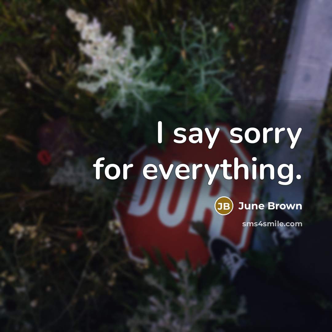 “I say sorry for everything.” quote by June Brown