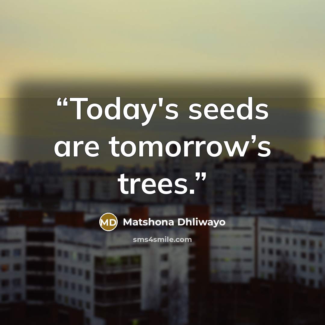 “Today's seeds are tomorrow’s trees.” quote by Matshona Dhliwayo