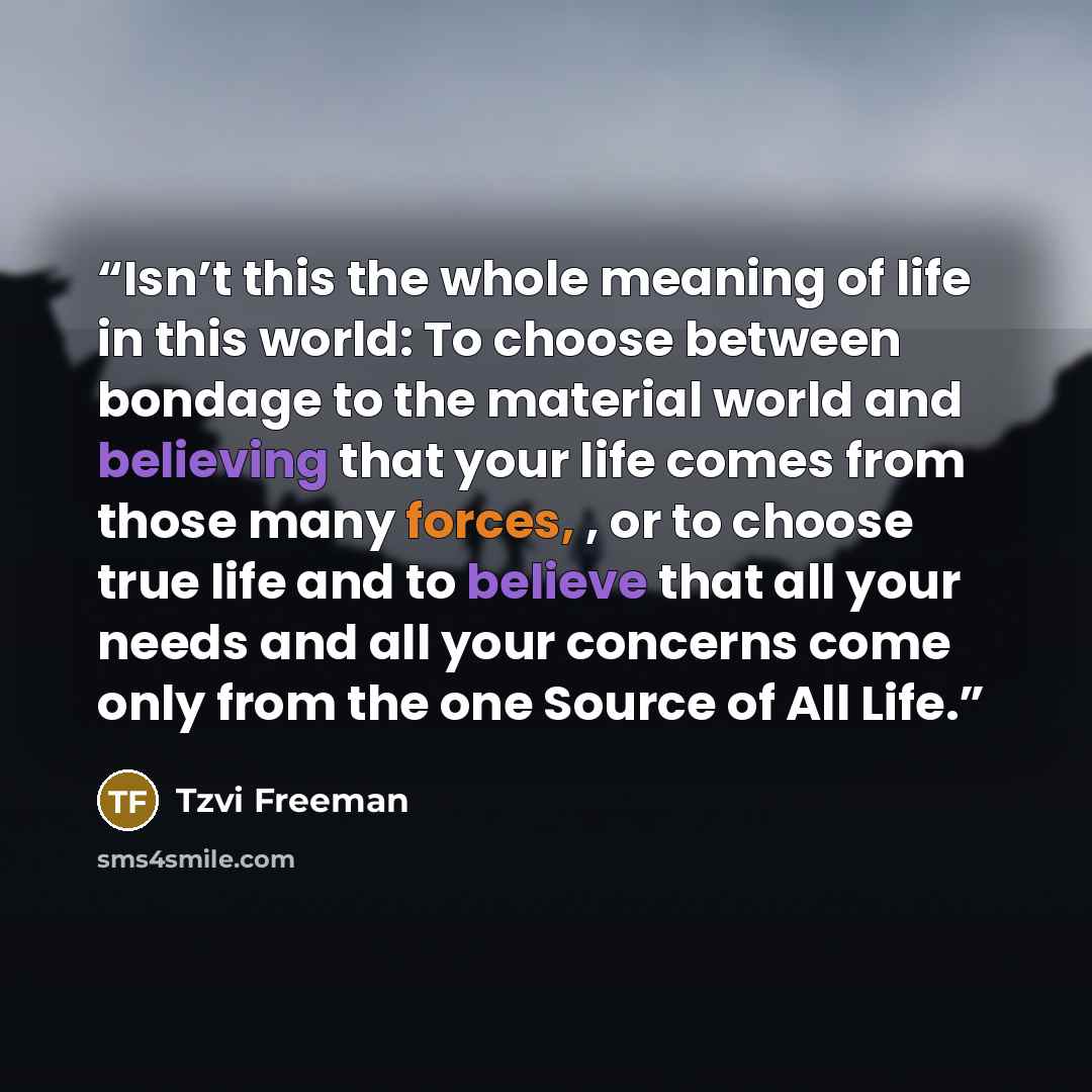 “Isn’t this the whole meaning of life in this world: To choose between bondage to the material world and believing that your life comes from those many forces, , or to choose true life and to believe that all your needs and all your concerns come only from the one Source of All Life.” quote by Tzvi Freeman