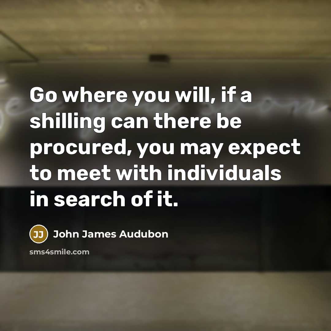 “Go where you will, if a shilling can there be procured, you may expect to meet with individuals in search of it.” quote by John James Audubon