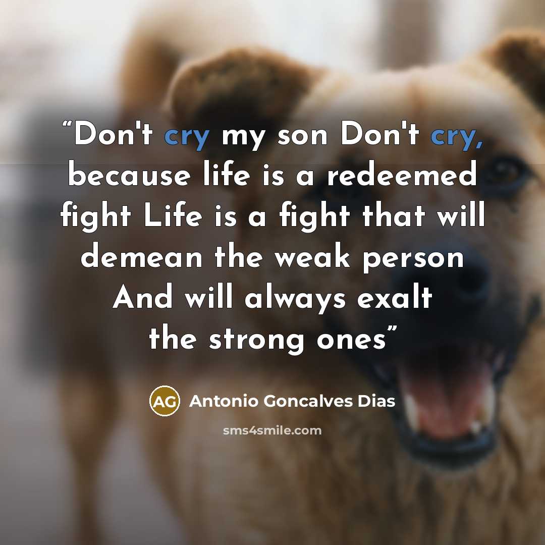 “Don't cry my son Don't cry, because life is a redeemed fight Life is a fight that will demean the weak person And will always exalt the strong ones” quote by Antonio Goncalves Dias