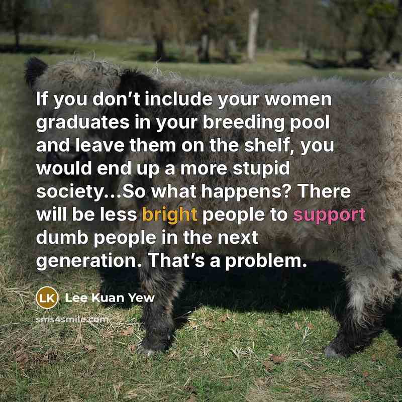 “If you don’t include your women graduates in your breeding pool and leave them on the shelf, you would end up a more stupid society…So what happens? There will be less bright people to support dumb people in the next generation. That’s a problem.” quote by Lee Kuan Yew