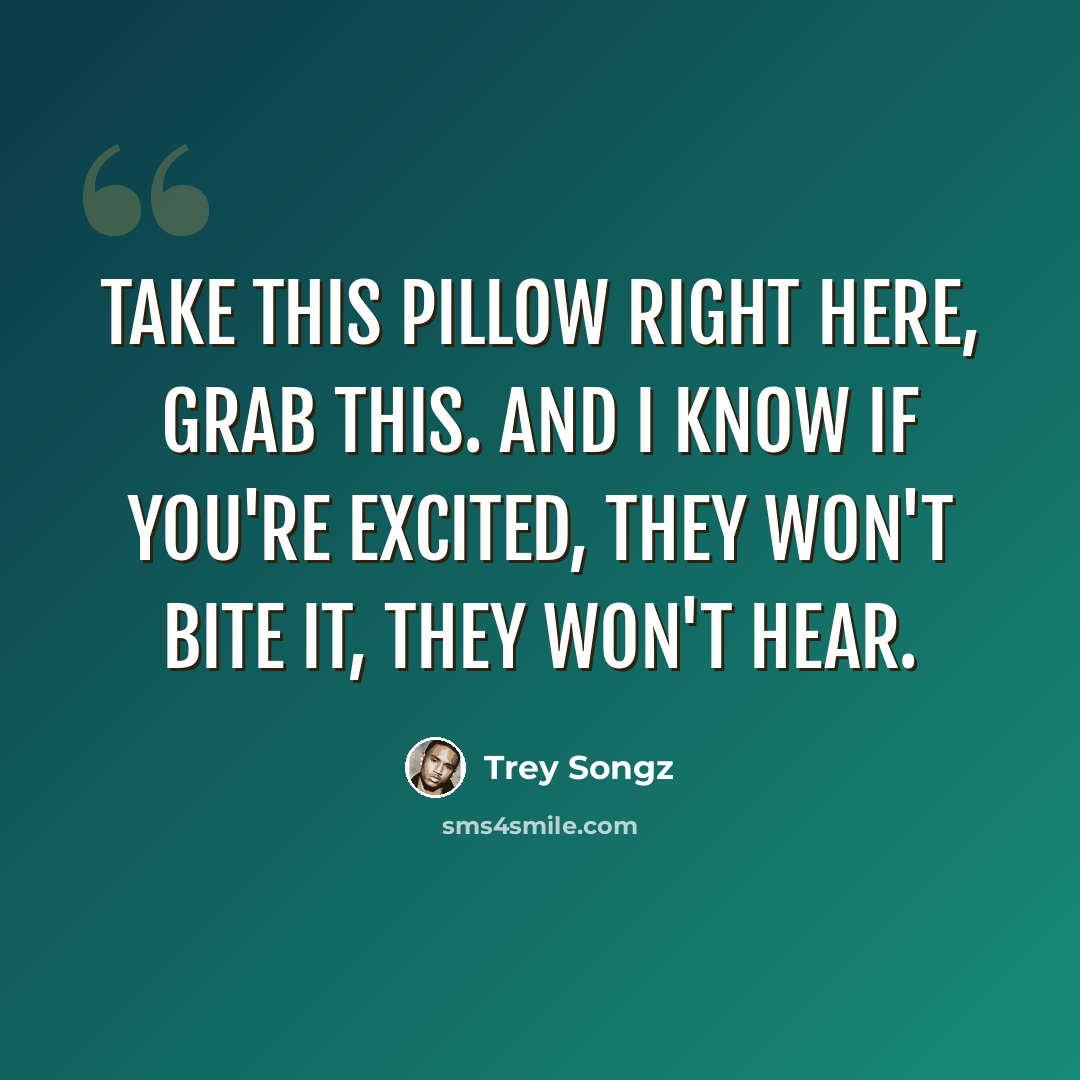 “Take this pillow right here, grab this. And I know if you're excited, they won't bite it, they won't hear.” quote by Trey Songz