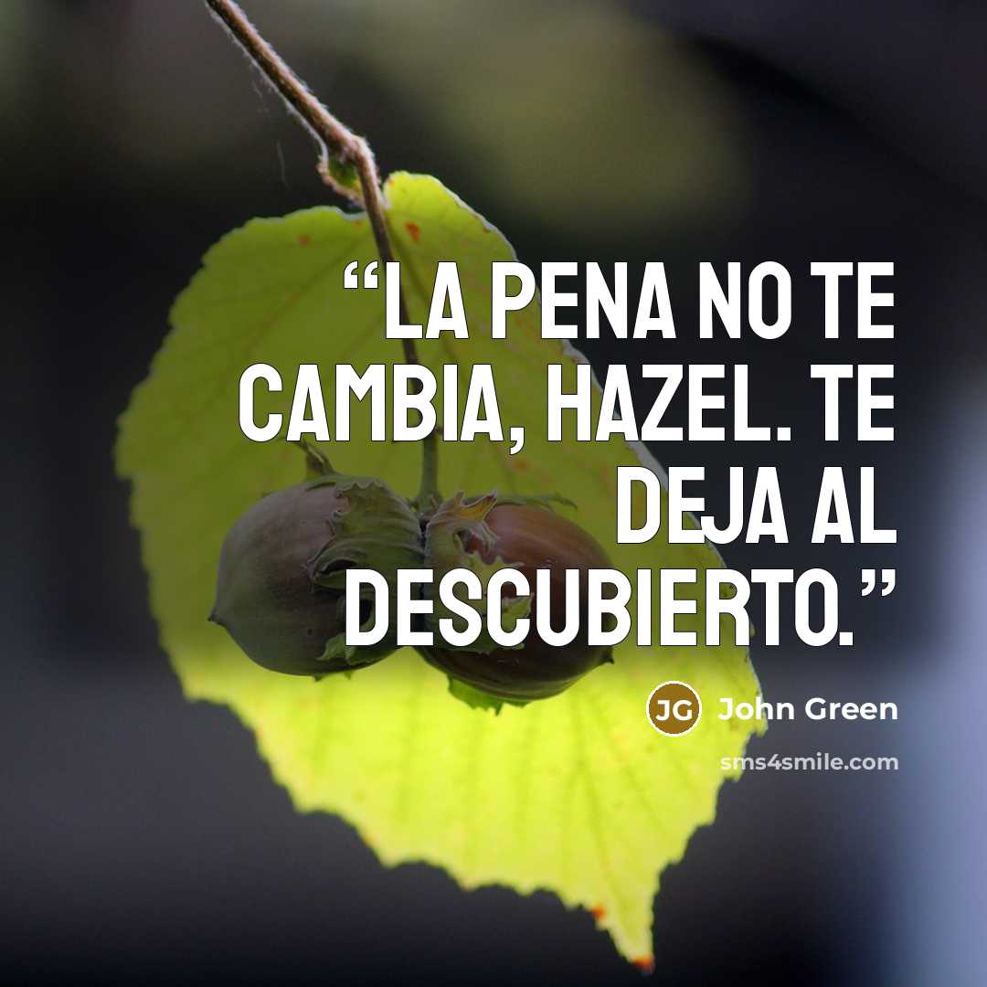“La pena no te cambia, Hazel. Te deja al descubierto.” quote by John Green