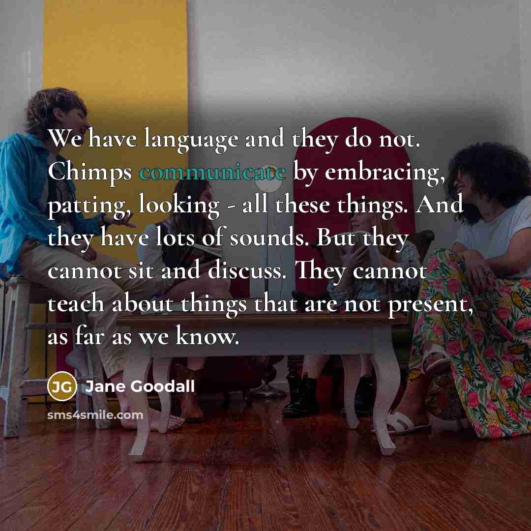 “We have language and they do not. Chimps communicate by embracing, patting, looking - all these things. And they have lots of sounds. But they cannot sit and discuss. They cannot teach about things that are not present, as far as we know.” quote by Jane Goodall
