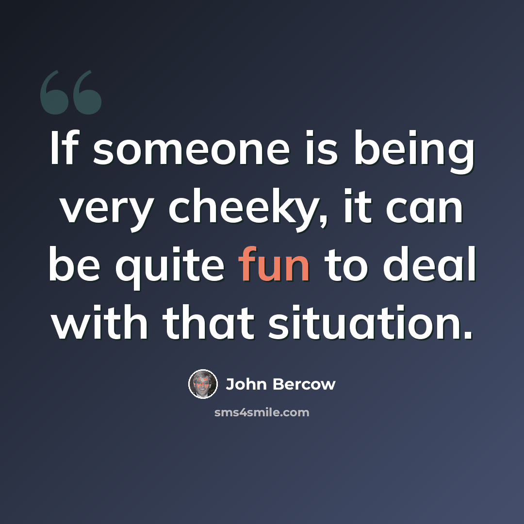 “If someone is being very cheeky, it can be quite fun to deal with that situation.” quote by John Bercow