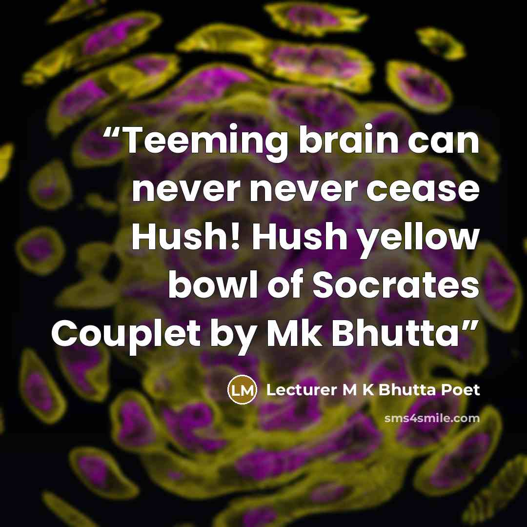 “Teeming brain can never never cease Hush! Hush yellow bowl of Socrates Couplet by Mk Bhutta” quote by Lecturer M K Bhutta Poet
