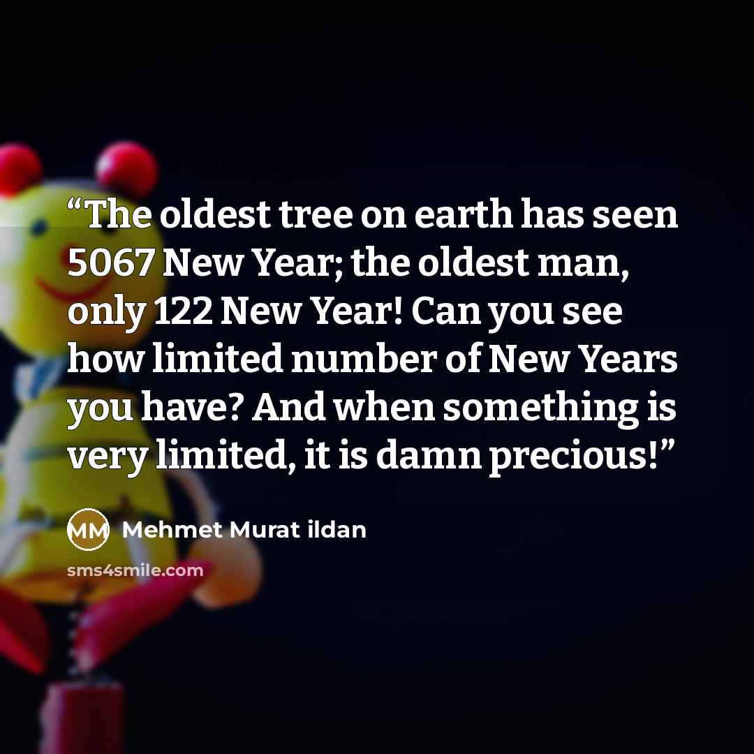 “The oldest tree on earth has seen 5067 New Year; the oldest man, only 122 New Year! Can you see how limited number of New Years you have? And when something is very limited, it is damn precious!” quote by Mehmet Murat ildan