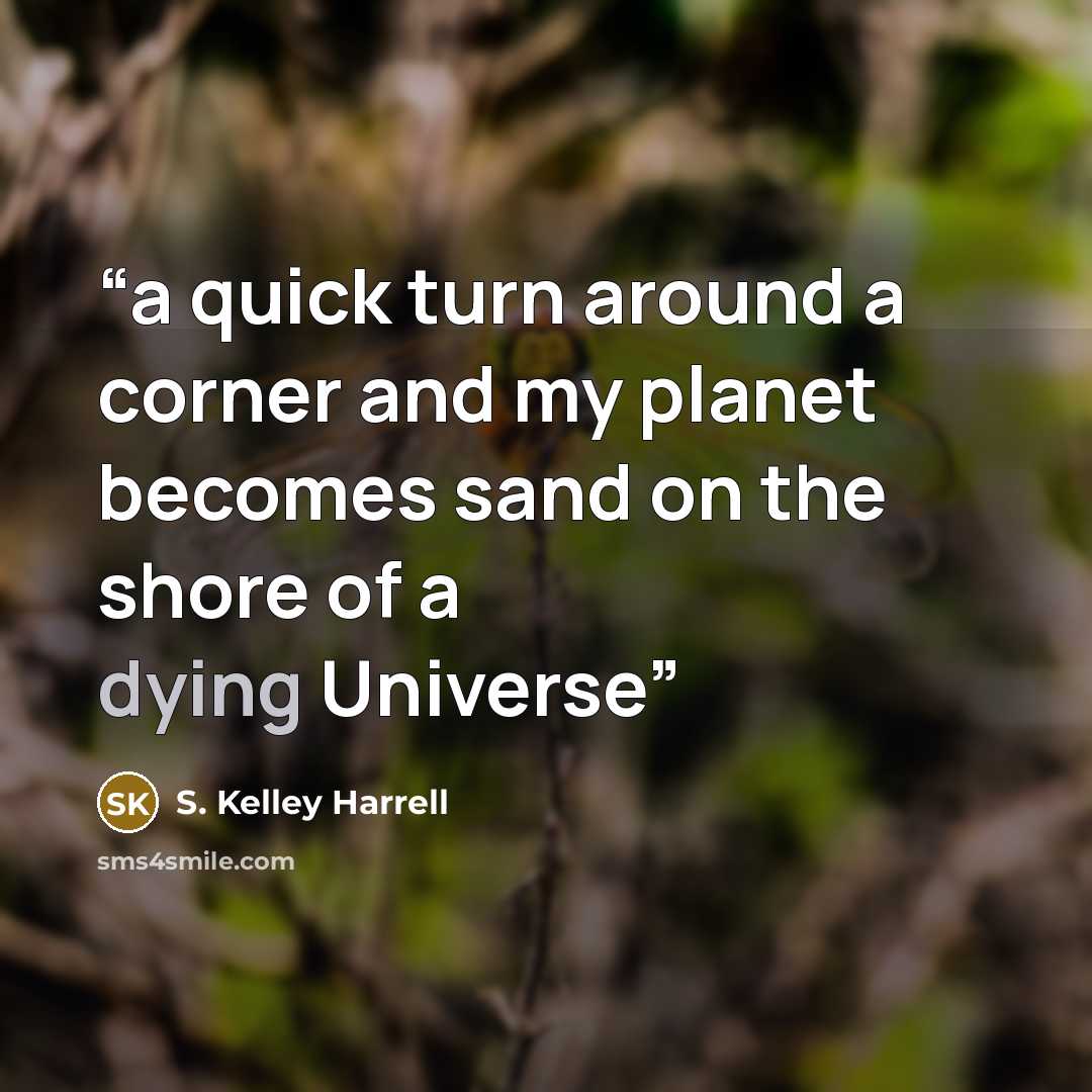 “a quick turn around a corner and my planet becomes sand on the shore of a dying Universe” quote by S. Kelley Harrell